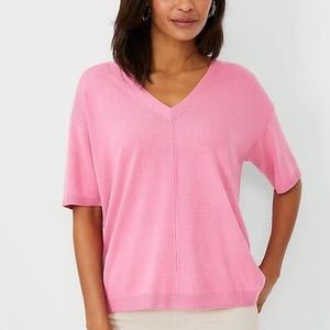 Ann Taylor v-neck sweater tee